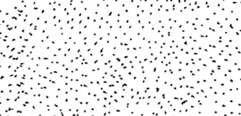 The trap of clarity!